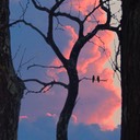 TiffanyWindowReduxTEST!