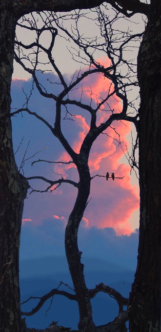 TiffanyWindowReduxTEST!