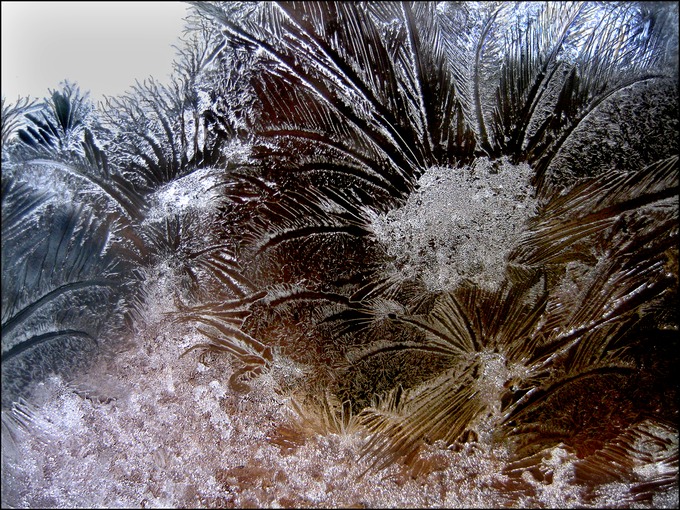 Windowfrost24.tif